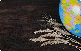 Agroton expands sown areas