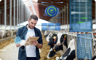 Agroton expands sown areas